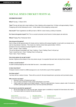 social sixes cricket festival