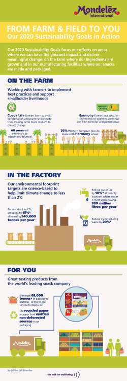 2020 Sustainability Goals