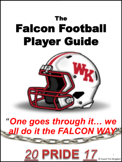 The FALCON WAY!