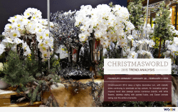 Nova Nature Christmasworld 2015 takes a highly decorative turn