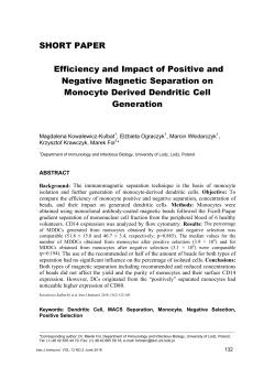 SHORT PAPER Efficiency and Impact of Positive and Negative