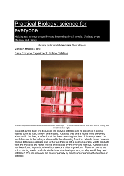 Easy Enzyme Experiment: Potato Catalase - BIOLOGI2V2010