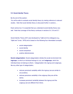 Social Identity Theory