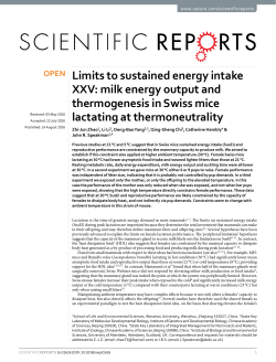Limits to sustained energy intake XXV: milk energy output and