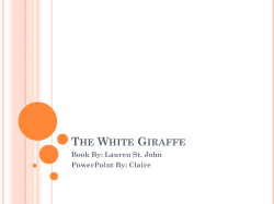 The White Giraffe