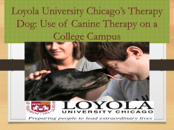 Loyola University Chicago*s Therapy Dog
