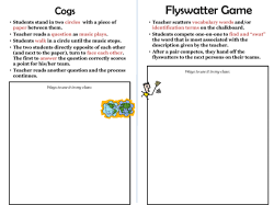 Flyswatter Game