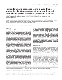Human telomeric sequence forms a hybrid-type