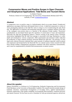 Compression Waves and Positive Surges in Open