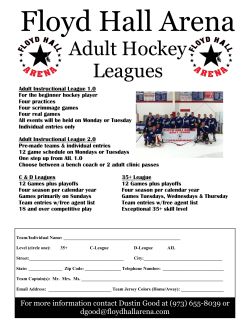 Adult Hockey Leagues