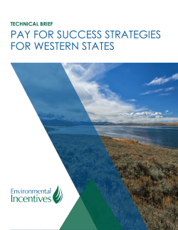 pay for success strategies for western states