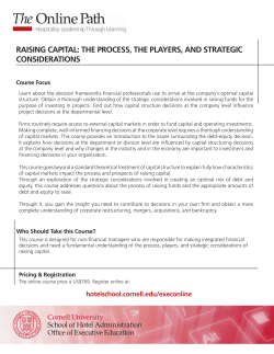 raising capital: the process, the players, and strategic considerations