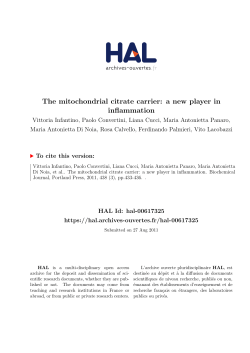 The mitochondrial citrate carrier: a new player in inflammation