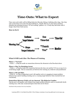 Time-Outs: What to Expect