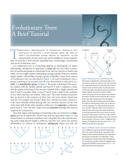 A Brief Tutorial Evolutionary Trees