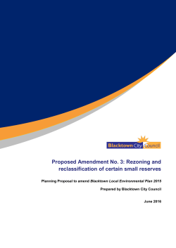 Proposed Amendment No. 3