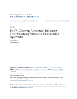 Brief 3: Clustering Assessment: Enhancing Synergies among