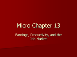 Micro Chapter 13