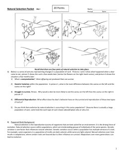 Natural selection packet Bio I