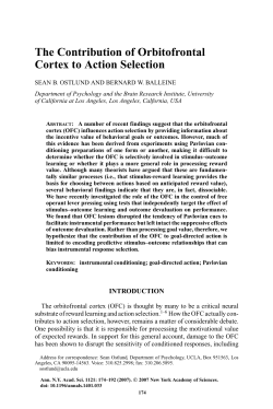 The Contribution of Orbitofrontal Cortex to Action Selection