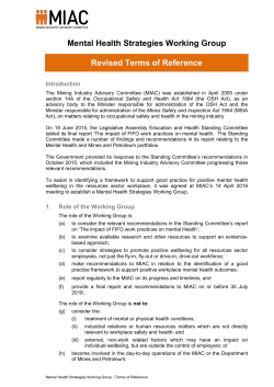Mental Health Strategies Working Group