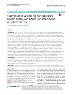 A novel set of vectors for Fur-controlled protein expression under