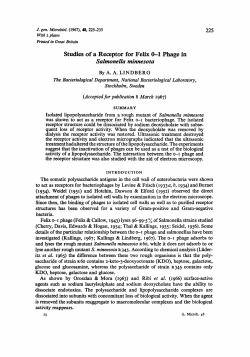 Studies of a Receptor for Felix 0-1 Phage in