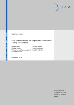 Firm Size Distribution and Employment Fluctuations: Theory