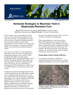 Herbicide Strategies to Maximize Yield in Glyphosate