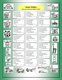 Animal Riddles