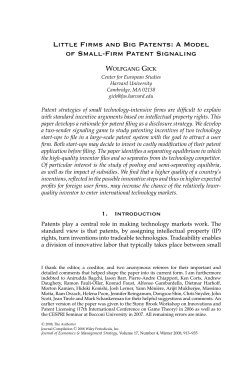 Little Firms and Big Patents: A Model of Small-Firm