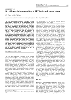 Sex di erence in immunostaining of RET in the adult mouse