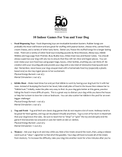 10 Indoor Games For You and Your Dog