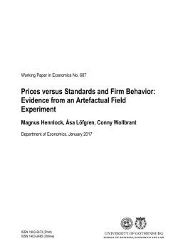 Prices versus Standards and Firm Behavior: Evidence from an