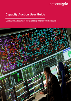 Auction Guidance_final