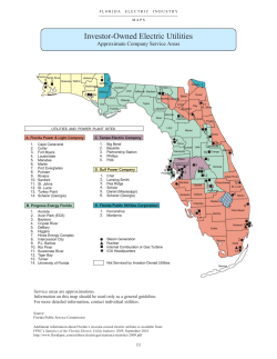 Florida Electric Territories Maps