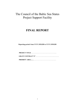 Technical Implementation Report - Council of the Baltic Sea States