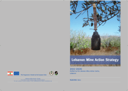Mine Action Strategy 2011-2020