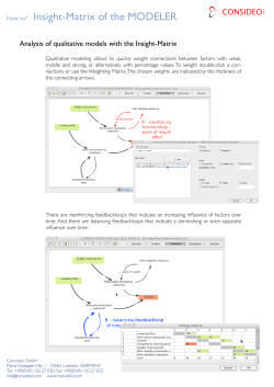 How to? Insight-Matrix of the MODELER