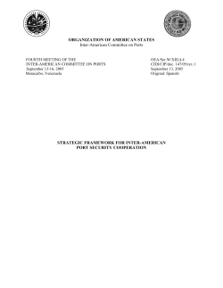 framework/framework for strategic inter