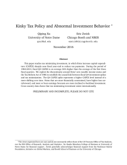 Kinky Tax Policy and Abnormal Investment Behavior