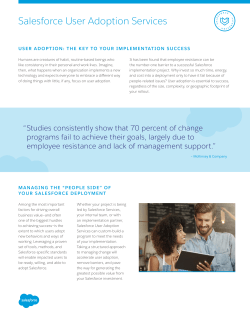 Salesforce User Adoption Services