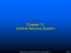 Chapter 7 Body Systems