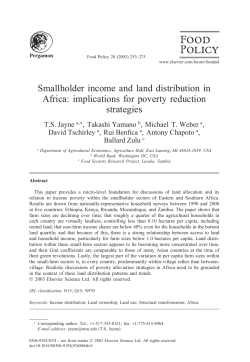 Smallholder income and land distribution in Africa