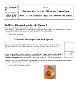 Fibonacci Rectangles and Shell Spirals Golden Ratio and Fibonacci