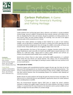 Carbon Pollution: A Game - National Wildlife Federation