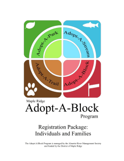 Adopt-A-Block-Registration-Package-Individuals-and