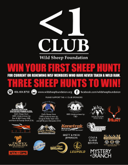 three sheep hunts to win!