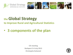 Global Strategy to Improve Agricultural and Rural Statistics