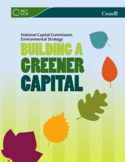 Environmental Strategy